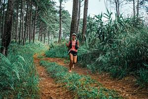 BIB: 
                            <button type="button" onclick="openModal(25688977)" class="btn btn-primary btn-sm float-right btn-popup" data-toggle="modal" data-target=".modal-high-quality">
                        <i class="fas fa-shopping-cart"></i> Add to Cart
                    </button>
                                            <button type="button" onclick="isThisMe(25688977, true)" class="btn btn-success btn-sm float-right btn-popup btn-isme hidden" data-toggle="tooltip" data-placement="bottom" title="นี่คือรูปของคุณใช่ไหม คลิกที่นี่เพื่อเอาเข้าอัลบั้ม">
                        <i class="fas fa-plus"></i> Add to album
                    </button>
                    <button type="button" onclick="isThisMe(25688977, false)" class="btn btn-warning btn-sm float-right btn-popup btn-isnotme hidden">
                        <i class="fas fa-ban"></i> Remove from album
                    </button>